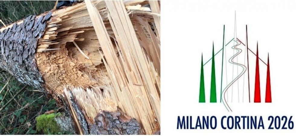 Un anno dopo Vaia, Pefc: "Le Olimpiadi invernali acquistino il legno abbattuto per una manifestazione sostenibile e solidale"